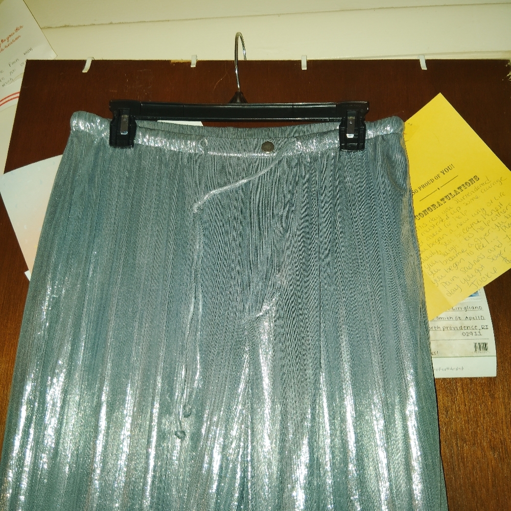 ANTHROPOLOGY Liquid Shine Parachute Pants - Small - Picture 9 of 12